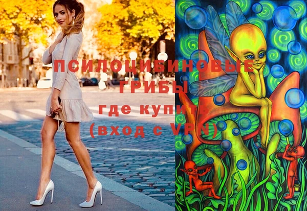 ПСИЛОЦИБИНОВЫЕ ГРИБЫ Михайловка